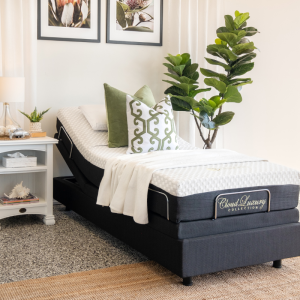 Electric Adjustable Beds Gold Coast