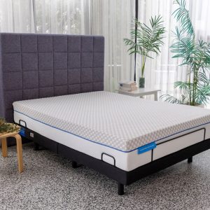 The Caelum Adjustable Base