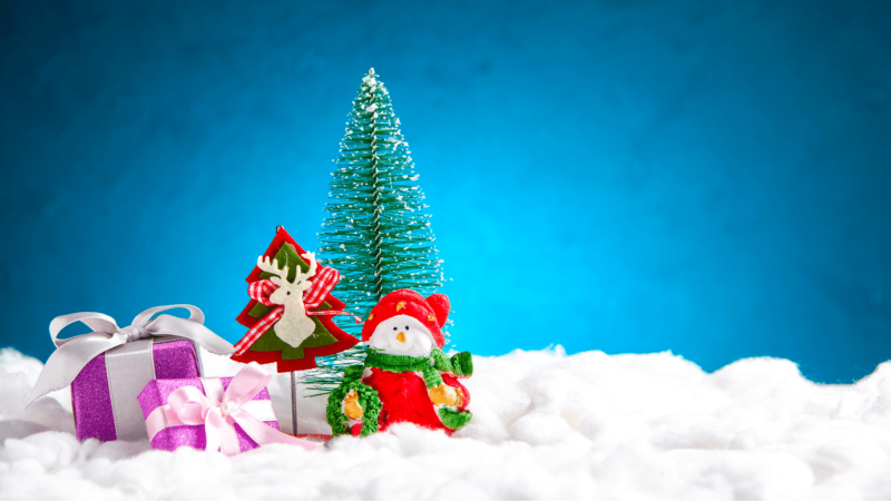 christmas-wishes-from-seniors-plus